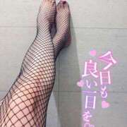 ヒメ日記 2025/05/19 07:49 投稿 しずく Salon du Mーえっちなお姉さんのM性感デリバリーー大阪店