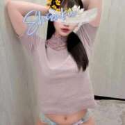 ヒメ日記 2025/09/11 22:09 投稿 しずく Salon du Mーえっちなお姉さんのM性感デリバリーー大阪店