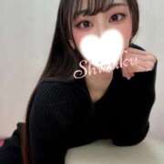 ヒメ日記 2025/12/11 12:10 投稿 しずく Salon du Mーえっちなお姉さんのM性感デリバリーー大阪店