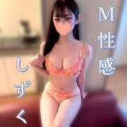 ヒメ日記 2026/01/28 22:19 投稿 しずく Salon du Mーえっちなお姉さんのM性感デリバリーー大阪店