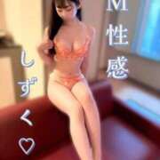 ヒメ日記 2026/02/20 17:19 投稿 しずく Salon du Mーえっちなお姉さんのM性感デリバリーー大阪店