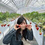 ヒメ日記 2025/03/17 10:19 投稿 青葉（あおば） Salon du Mーえっちなお姉さんのM性感デリバリーー大阪店