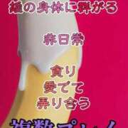 ヒメ日記 2025/12/14 17:35 投稿 レイコ Salon du Mーえっちなお姉さんのM性感デリバリーー大阪店