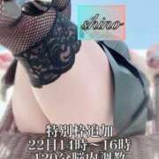 ヒメ日記 2025/06/18 00:39 投稿 志乃（しの） Salon du Mーえっちなお姉さんのM性感デリバリーー大阪店