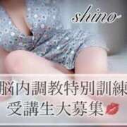 ヒメ日記 2025/06/20 17:19 投稿 志乃（しの） Salon du Mーえっちなお姉さんのM性感デリバリーー大阪店