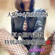 ヒメ日記 2025/06/23 16:09 投稿 志乃（しの） Salon du Mーえっちなお姉さんのM性感デリバリーー大阪店