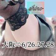 ヒメ日記 2025/06/25 11:49 投稿 志乃（しの） Salon du Mーえっちなお姉さんのM性感デリバリーー大阪店