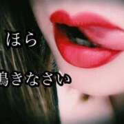 ヒメ日記 2025/06/28 10:59 投稿 志乃（しの） Salon du Mーえっちなお姉さんのM性感デリバリーー大阪店