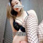 ヒメ日記 2025/09/19 00:09 投稿 志乃（しの） Salon du Mーえっちなお姉さんのM性感デリバリーー大阪店