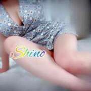 志乃（しの） 22時まで🫧 Salon du Mーえっちなお姉さんのM性感デリバリーー大阪店