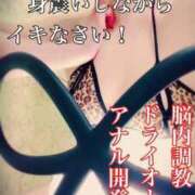 ヒメ日記 2025/12/30 19:01 投稿 志乃（しの） Salon du Mーえっちなお姉さんのM性感デリバリーー大阪店