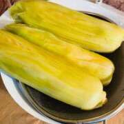 ヒメ日記 2025/07/13 12:04 投稿 松嶋 れいこ SUMIRE