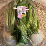 ヒメ日記 2026/03/27 12:19 投稿 松嶋 れいこ SUMIRE