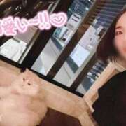 ヒメ日記 2025/06/24 19:48 投稿 リン ソープランドMAX‐マックス- 浅草店