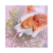 ヒメ日記 2025/10/29 12:07 投稿 リン ソープランドMAX‐マックス- 浅草店