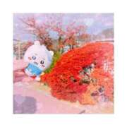 ヒメ日記 2025/11/21 14:15 投稿 リン ソープランドMAX‐マックス- 浅草店