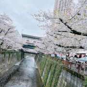 ヒメ日記 2026/04/07 22:40 投稿 リン ソープランドMAX‐マックス-