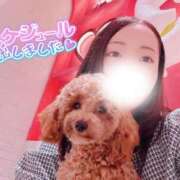 ヒメ日記 2026/10/17 13:31 投稿 リン ソープランドMAX‐マックス-