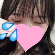 ヒメ日記 2025/03/23 15:19 投稿 はな 美女のカタチ