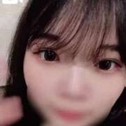 ヒメ日記 2025/05/12 15:09 投稿 はな 美女のカタチ