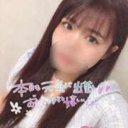 ヒメ日記 2025/05/03 08:26 投稿 れん 美女のカタチ