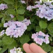 ヒメ日記 2025/06/12 21:22 投稿 つむぎ 完熟ばなな 横浜