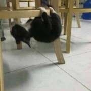 ヒメ日記 2025/09/19 16:41 投稿 つむぎ 完熟ばなな 横浜