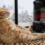 ヒメ日記 2025/11/08 21:10 投稿 つむぎ 完熟ばなな 横浜