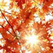 ヒメ日記 2025/11/21 19:02 投稿 つむぎ 完熟ばなな 横浜