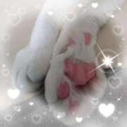 ヒメ日記 2025/03/11 18:52 投稿 みみこ 熟女の風俗最終章 新宿店