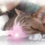 ヒメ日記 2025/04/13 12:42 投稿 みみこ 熟女の風俗最終章 新宿店