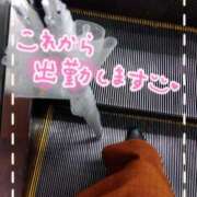 ヒメ日記 2025/06/11 08:42 投稿 みみこ 熟女の風俗最終章 新宿店