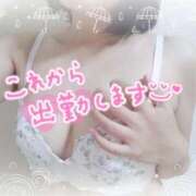 ヒメ日記 2025/10/25 08:42 投稿 みみこ 熟女の風俗最終章 新宿店