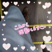 ヒメ日記 2026/01/19 13:27 投稿 みみこ 熟女の風俗最終章 新宿店