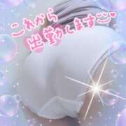 ヒメ日記 2025/04/24 08:02 投稿 みみこ 熟女の風俗最終章 池袋店