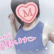 ヒメ日記 2025/05/03 08:24 投稿 みみこ 熟女の風俗最終章 池袋店