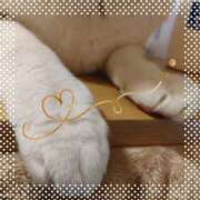 ヒメ日記 2026/02/21 07:32 投稿 みみこ 熟女の風俗最終章 池袋店