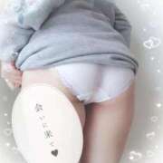 ヒメ日記 2026/03/02 08:22 投稿 みみこ 熟女の風俗最終章 池袋店