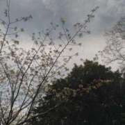 ヒメ日記 2025/04/04 16:08 投稿 かすみ 横浜おかあさん