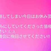 ヒメ日記 2025/04/07 09:17 投稿 かすみ 横浜おかあさん