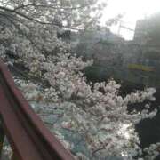 ヒメ日記 2025/04/11 20:25 投稿 かすみ 横浜おかあさん