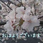 ヒメ日記 2025/04/12 08:15 投稿 かすみ 横浜おかあさん