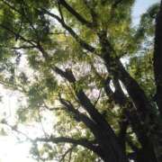 ヒメ日記 2025/04/22 11:55 投稿 かすみ 横浜おかあさん