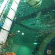 ヒメ日記 2025/05/03 10:25 投稿 かすみ 横浜おかあさん