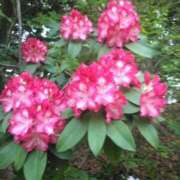 ヒメ日記 2025/05/04 15:45 投稿 かすみ 横浜おかあさん