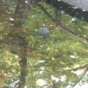 ヒメ日記 2025/05/05 12:55 投稿 かすみ 横浜おかあさん