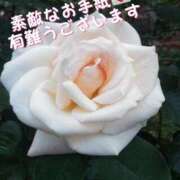 ヒメ日記 2025/05/08 23:45 投稿 かすみ 横浜おかあさん