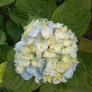 ヒメ日記 2025/05/26 00:05 投稿 かすみ 横浜おかあさん