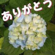ヒメ日記 2025/05/29 15:18 投稿 かすみ 横浜おかあさん