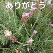 ヒメ日記 2025/05/30 17:45 投稿 かすみ 横浜おかあさん